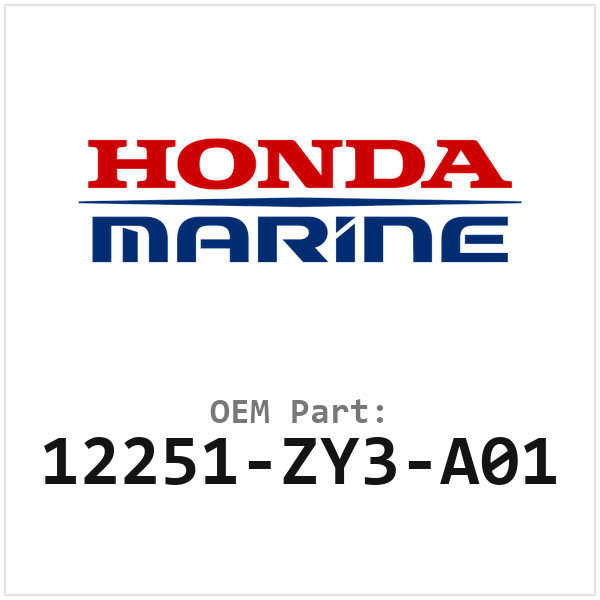 Honda Pakking (12251-ZY3-A01)