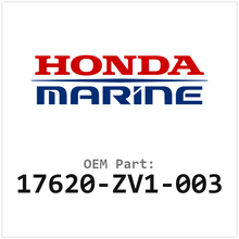 Honda Brandstofsysteem-onderdeel (17620-ZV1-003)