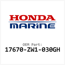 17670-ZW1-030GH