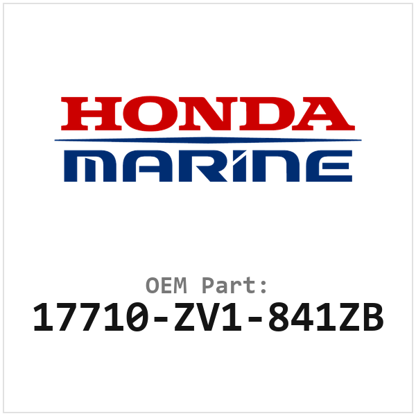 17710-ZV1-841ZB