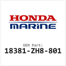 18381-ZH8-801