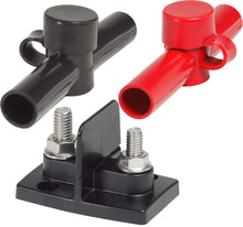 Blue Sea Systems PowerPost dual 1x 5/16 inch 1x 3/8 inch met isolatie (2018-BSS)