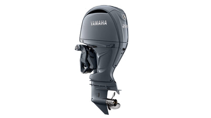 Yamaha F200