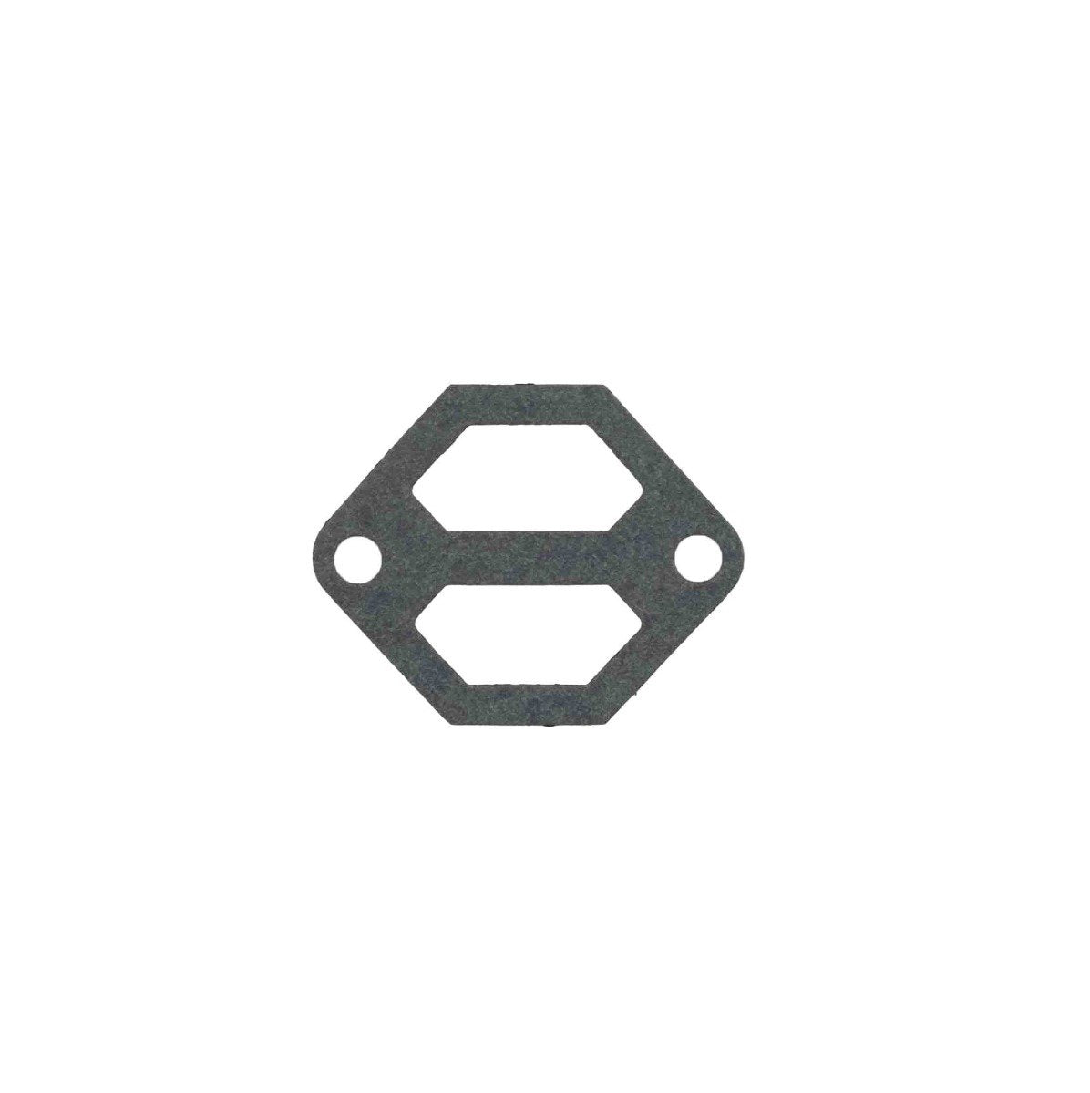 Mercury – Idle Air Control Valve Gasket | MPI Engines | 8M0119616