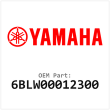 6BLW00012300