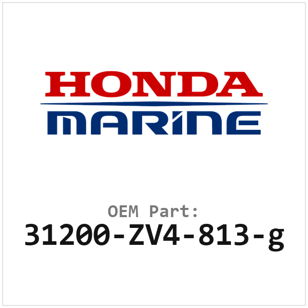 31200-ZV4-813-g