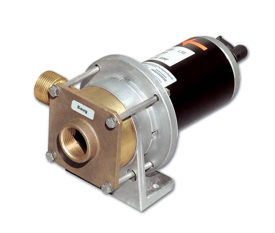 Rheinstrom dekwaspomp Z60 24V brons (3408)