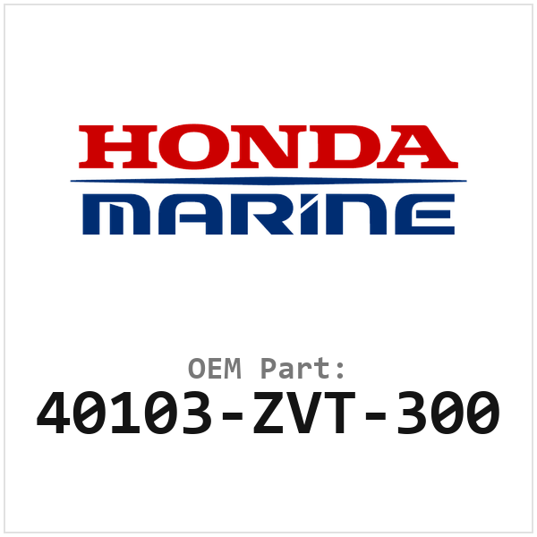 Honda Kaseafdichtring (40103-ZVT-300)
