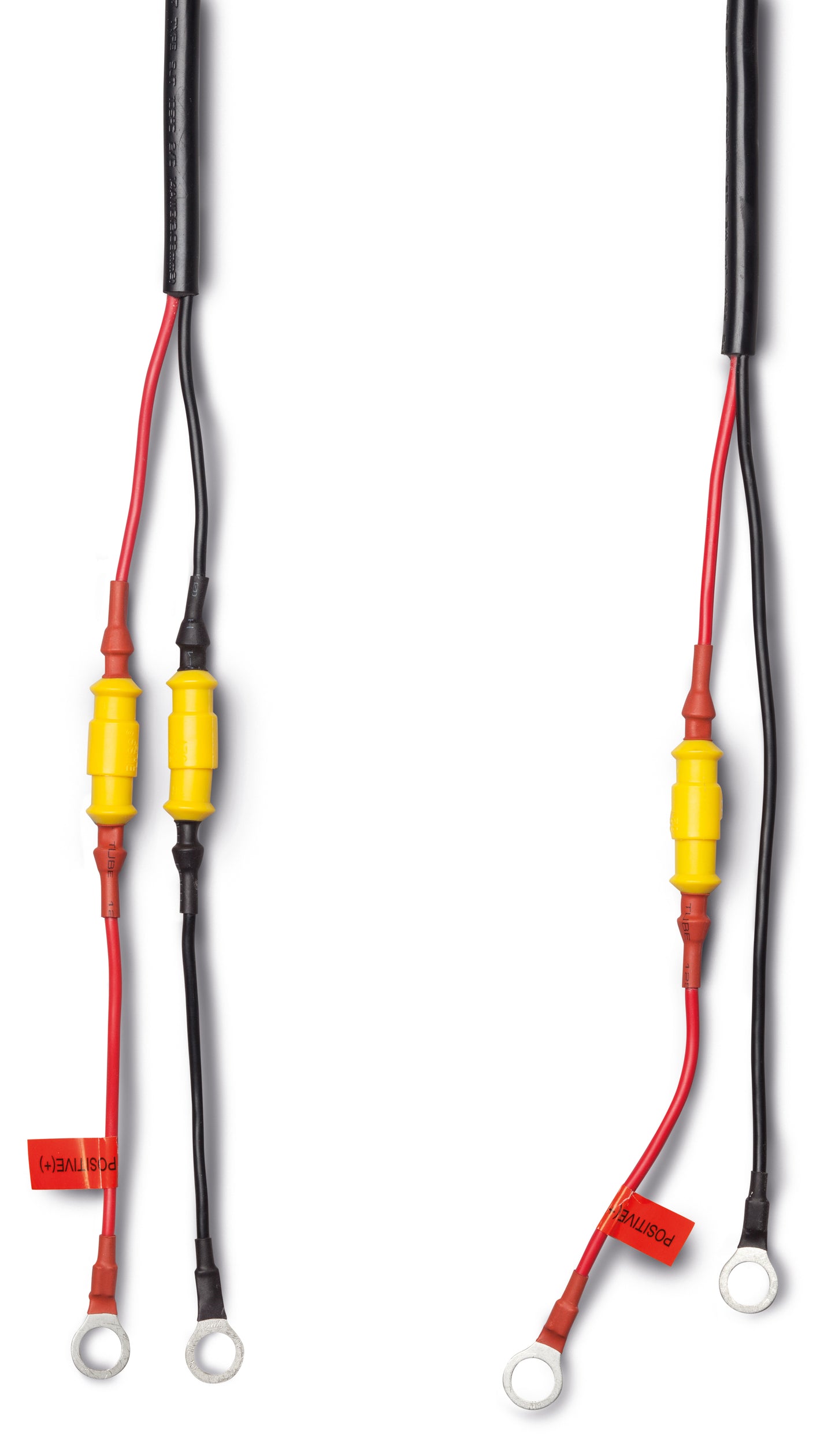 Mastervolt EasyCharge acculader 10A-2 (43321000)