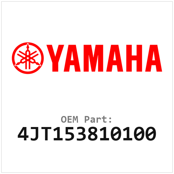 4JT153810100