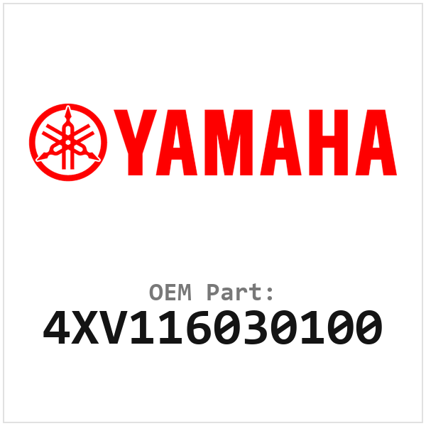 4XV116030100