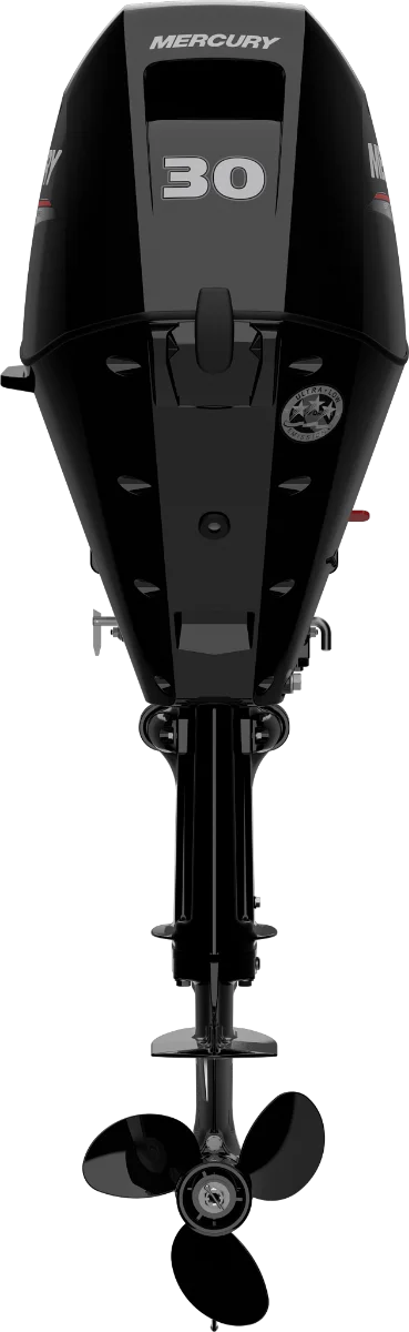 Mercury F 30