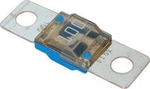 Blue Sea Systems zekering MIDI 100A (2 stuks) (5256-BSS)