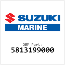 5813199000