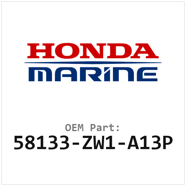 58133-ZW1-A13P