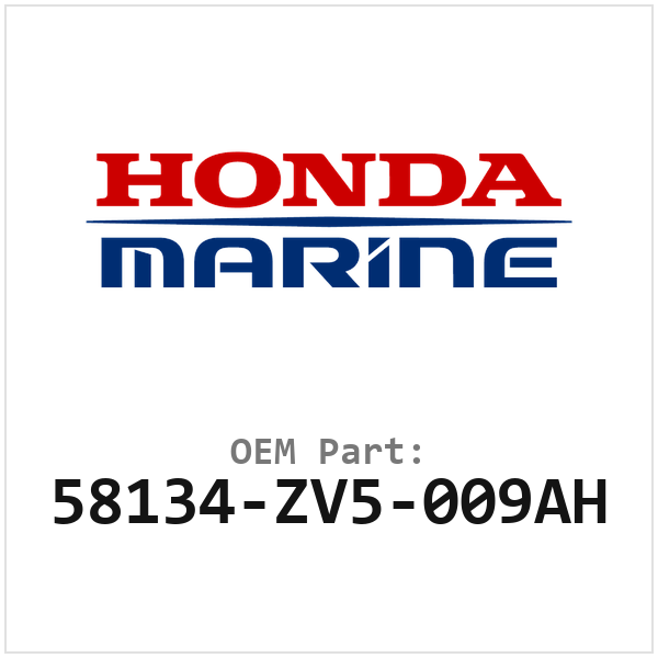 58134-ZV5-009AH