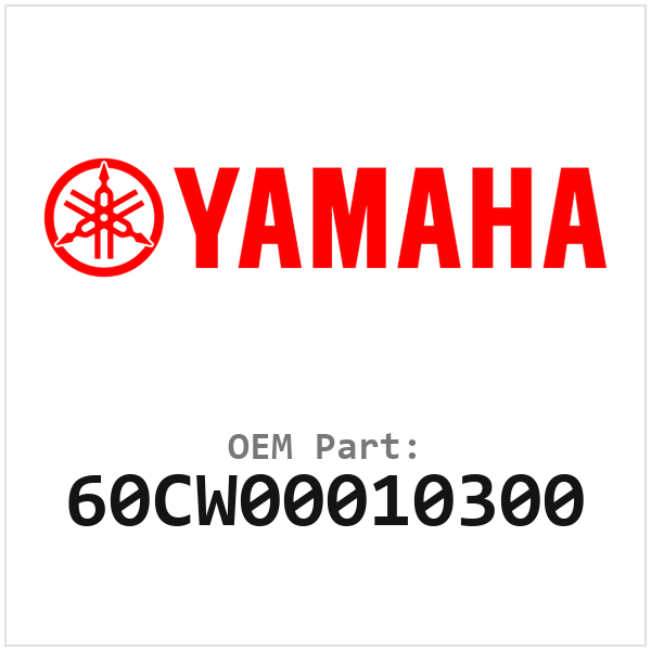 60CW00010300