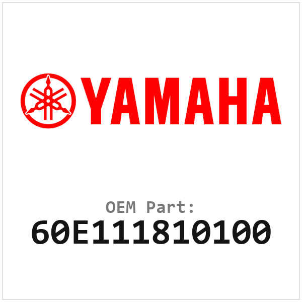 60E111810100