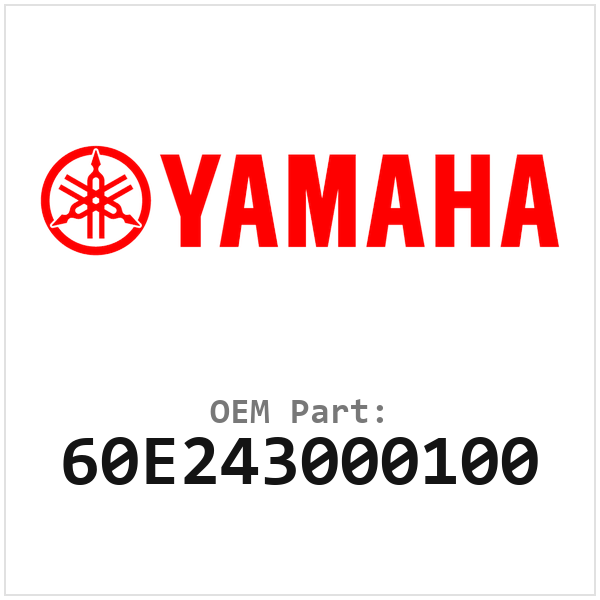 60E243000100