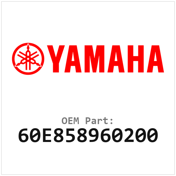 60E858960200