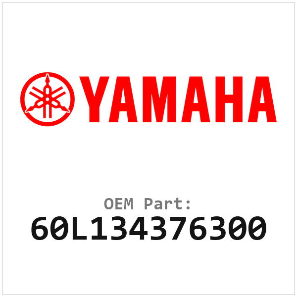 60L134376300