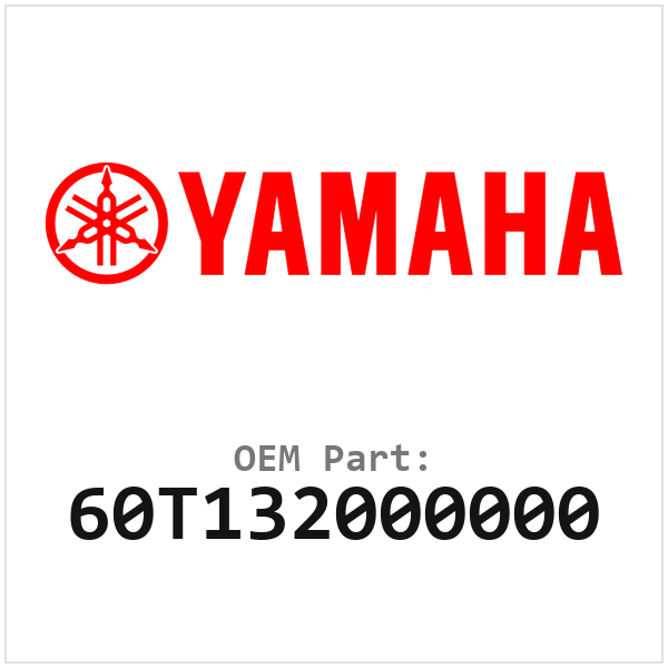 60T132000000