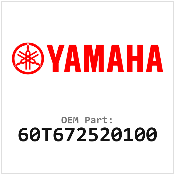 60T672520100