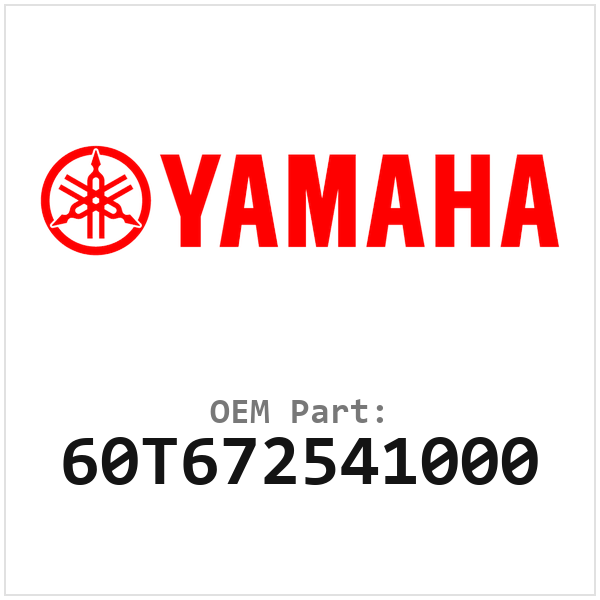 60T672541000