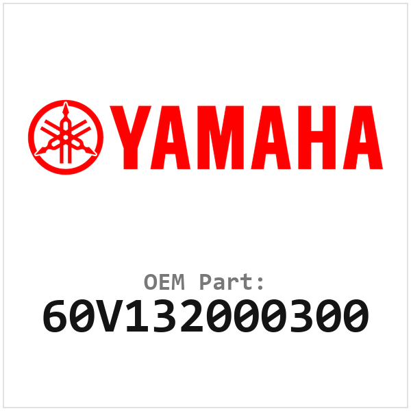 60V132000300