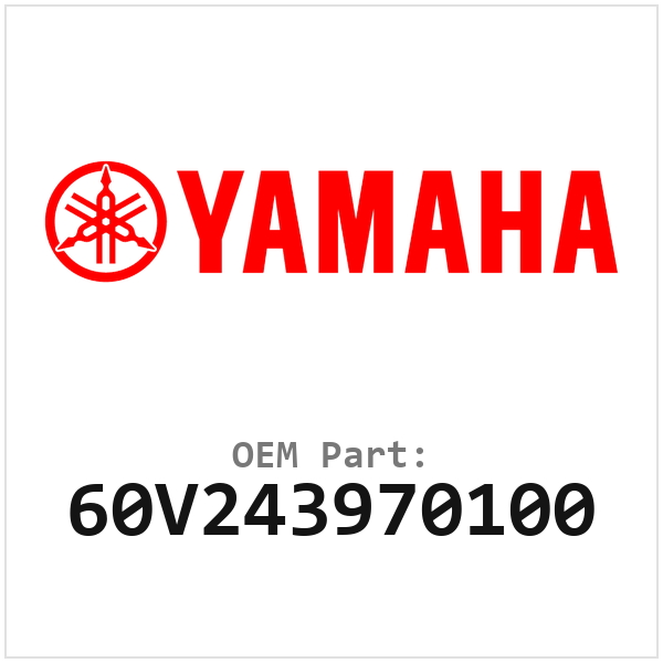 60V243970100