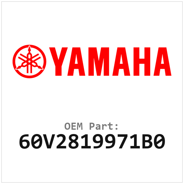 60V2819971B0