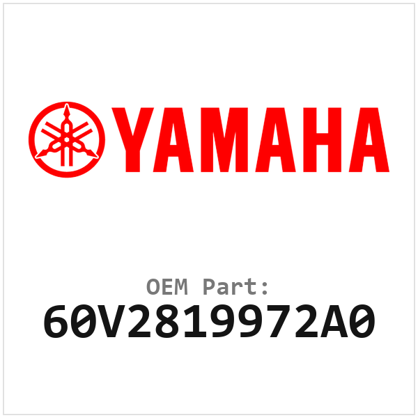 60V2819972A0