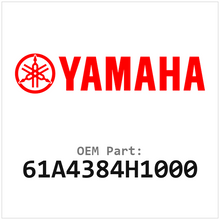 61A4384H1000