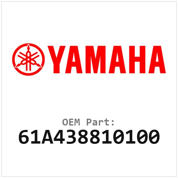 61A438810100
