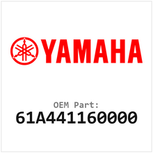 61A441160000