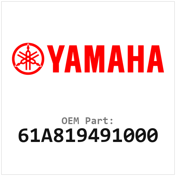 61A819491000