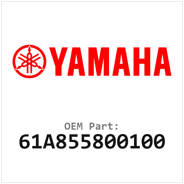 61A855800100