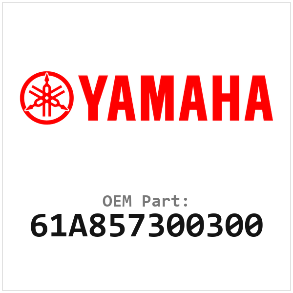 61A857300300