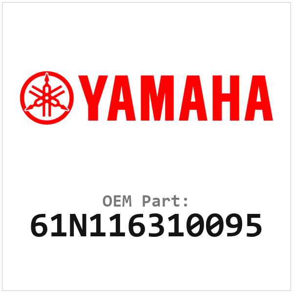 61N116310095