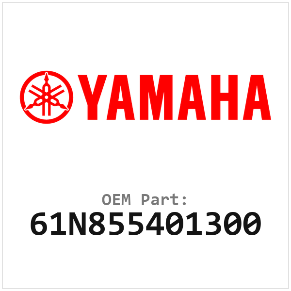 61N855401300