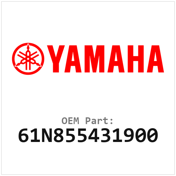 61N855431900