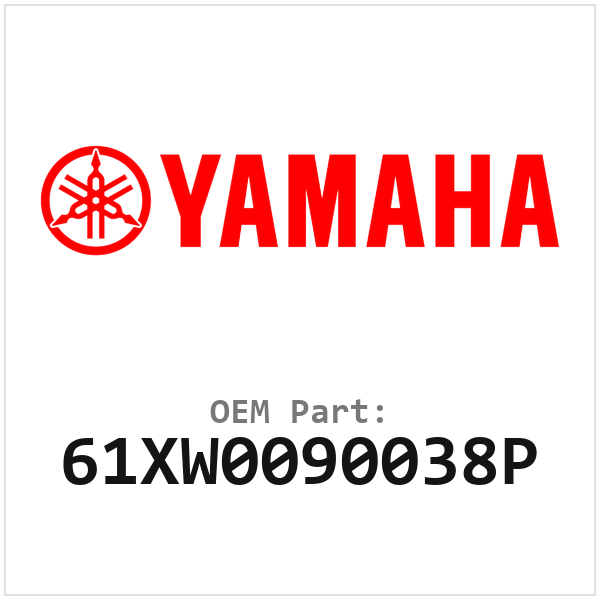 61XW0090038P