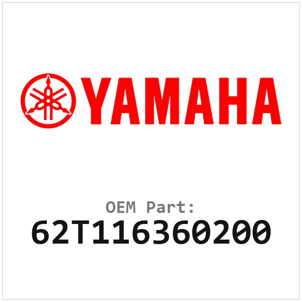 62T116360200