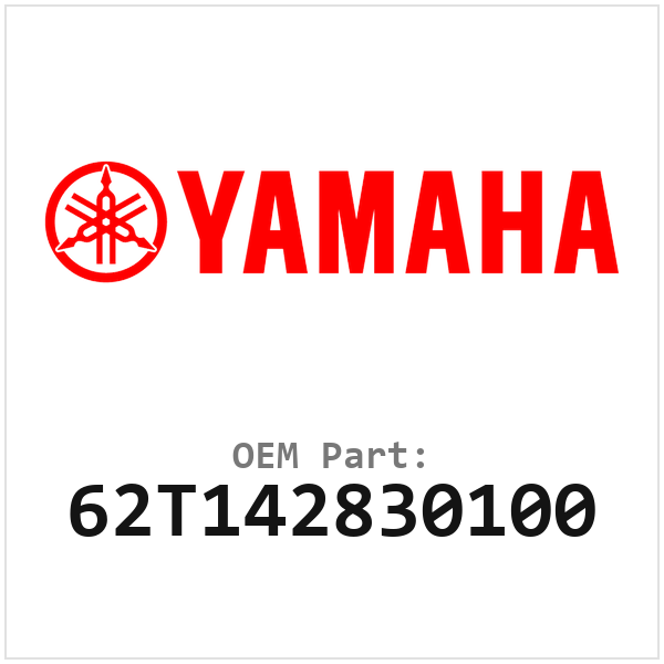 62T142830100