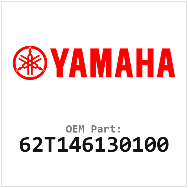 62T146130100