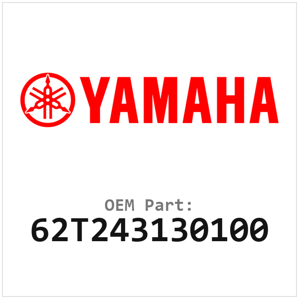 62T243130100