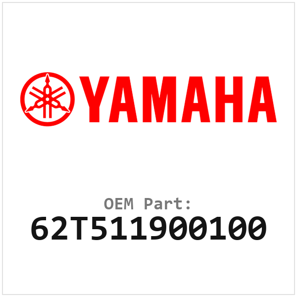 62T511900100