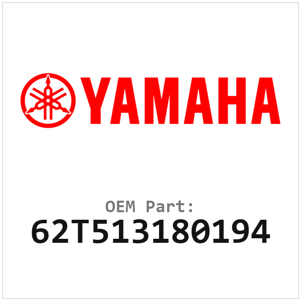 62T513180194