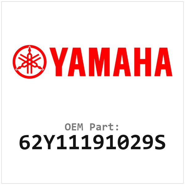 62Y11191029S