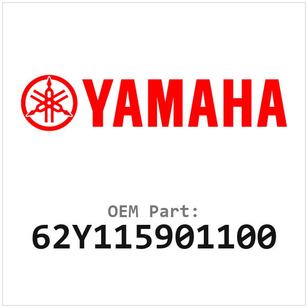 62Y115901100